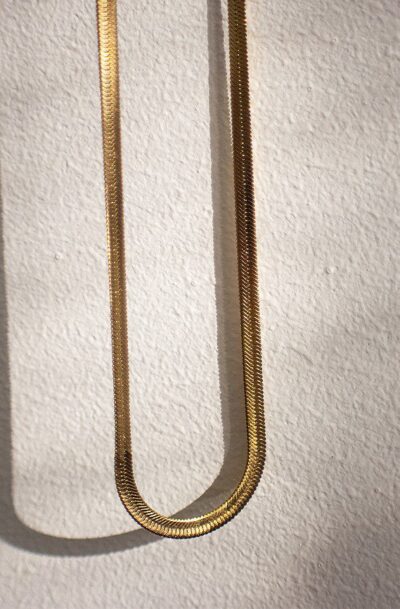 Ocelia Snake Chain 2