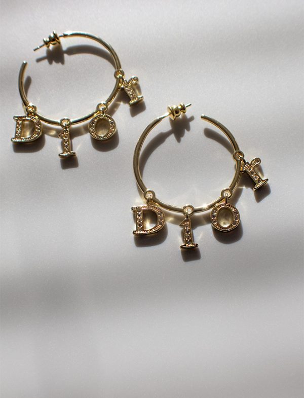 Dior Earrings before photo