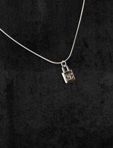 Dreamized 22 Secret silver Chanel necklace 1