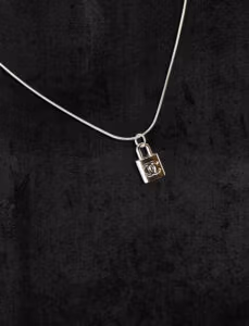 Dreamized 23 Secret silver Chanel necklace 1