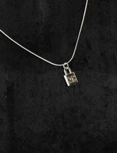 Dreamized 23 Secret silver Chanel necklace 1